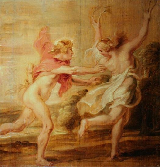 Peter Paul Rubens Apollo and Daphne oil painting image